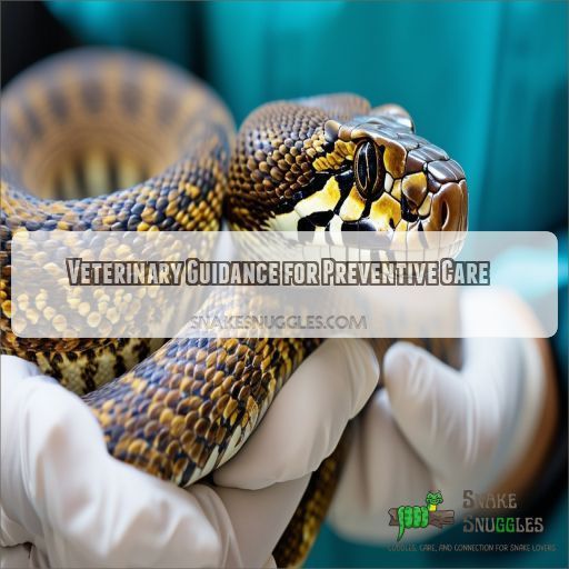 Veterinary Guidance for Preventive Care