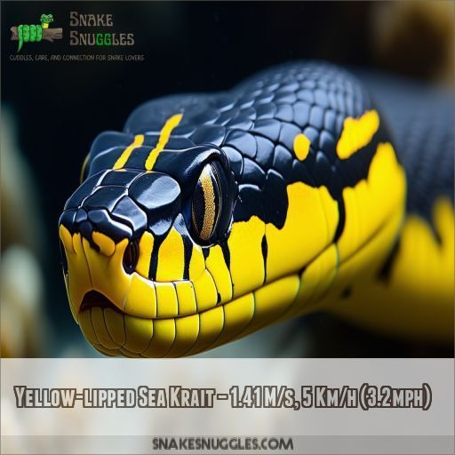 Yellow-lipped Sea Krait – 1.41 M/s, 5 Km/h (3.2mph)