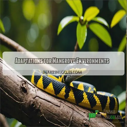 Adaptations for Mangrove Environments