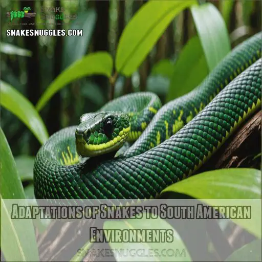 Adaptations of Snakes to South American Environments