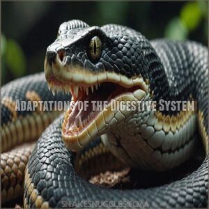 Snake Digestive System Adaptations: Swallowing Whole Prey