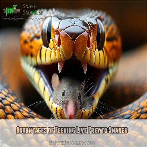 Advantages of Feeding Live Prey to Snakes