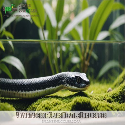 Advantages of Glass Reptile Enclosures