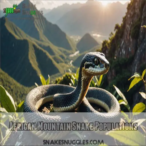 African Mountain Snake Populations