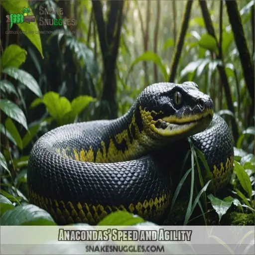 Anacondas