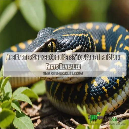 are garter snakes good pets