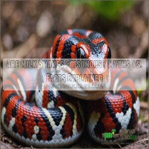 are milk snakes poisonous