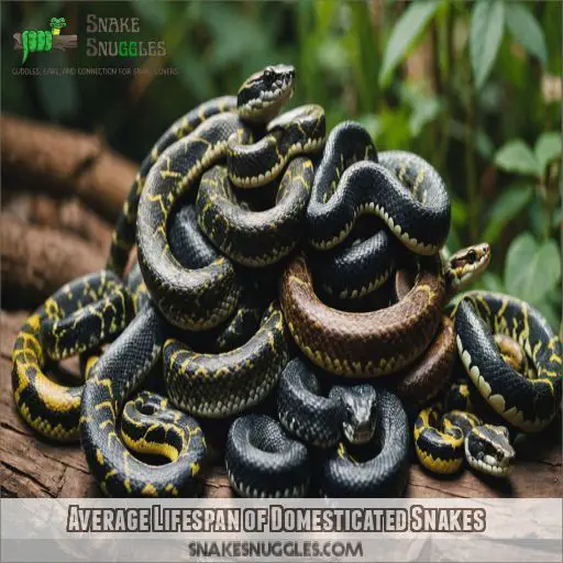 Average Lifespan of Domesticated Snakes