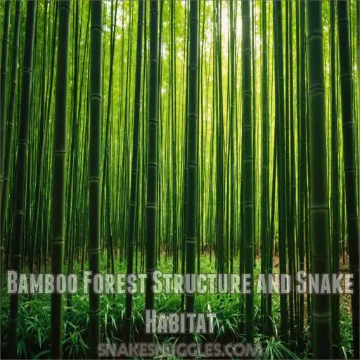 Bamboo Forest Structure and Snake Habitat