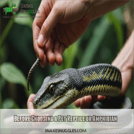 Before Choosing a Pet Reptile or Amphibian