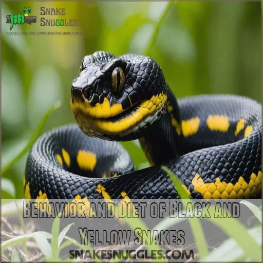 Behavior and Diet of Black and Yellow Snakes