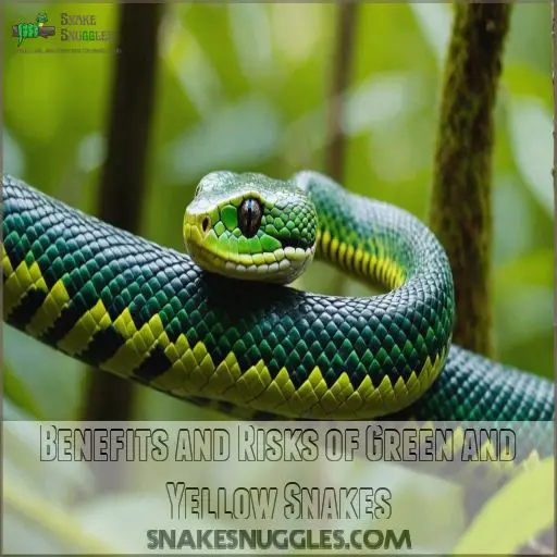 Benefits and Risks of Green and Yellow Snakes