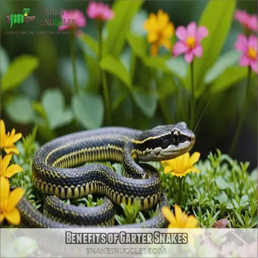 Benefits of Garter Snakes