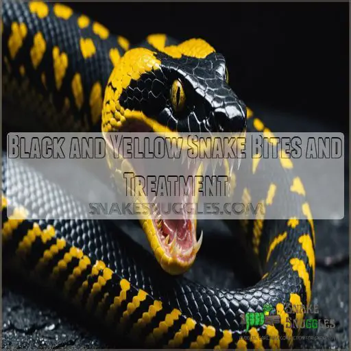 Black and Yellow Snake Bites and Treatment