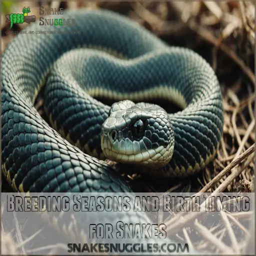 Breeding Seasons and Birth Timing for Snakes