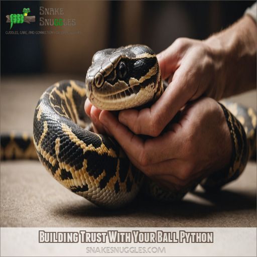 Building Trust With Your Ball Python