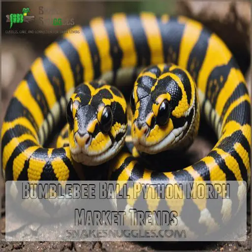 Bumblebee Ball Python Morph Market Trends