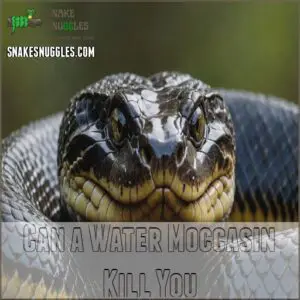 Can a Water Moccasin Kill You