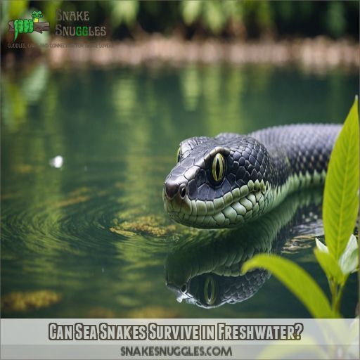 Can Sea Snakes Survive in Freshwater