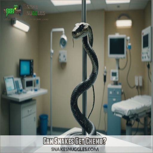 Can Snakes Get Chemo