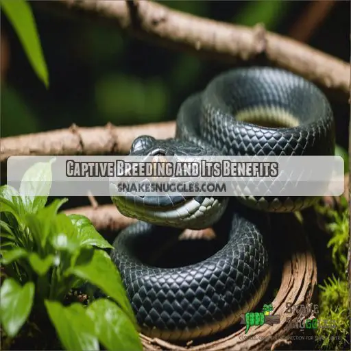 Captive Breeding and Its Benefits