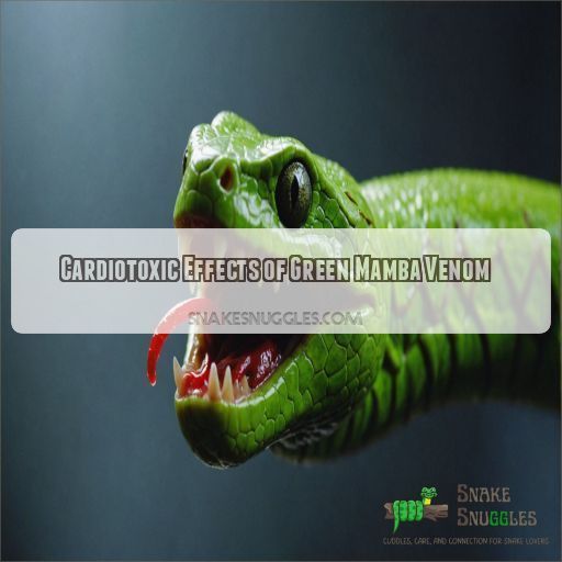 Cardiotoxic Effects of Green Mamba Venom