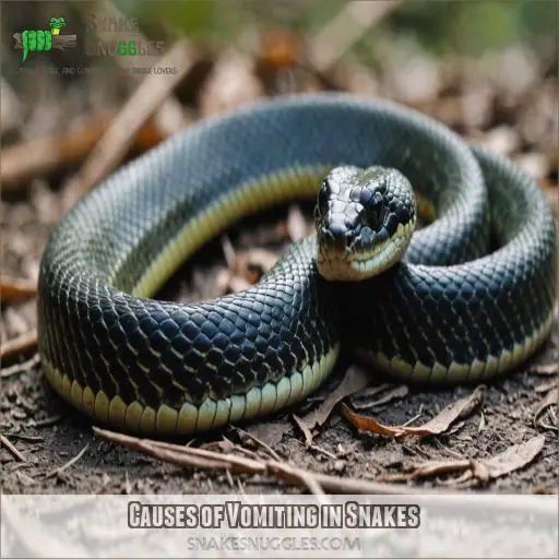 Causes of Vomiting in Snakes