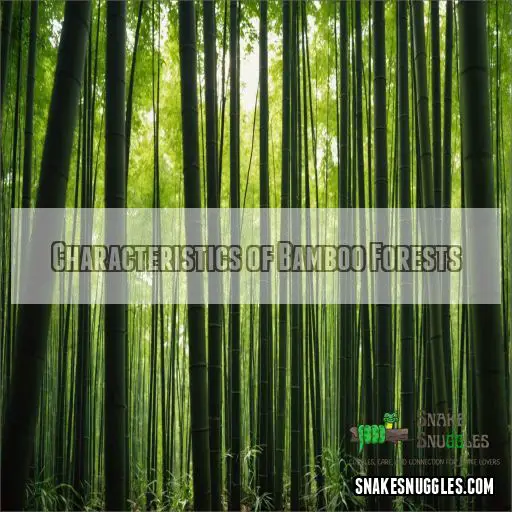 Characteristics of Bamboo Forests