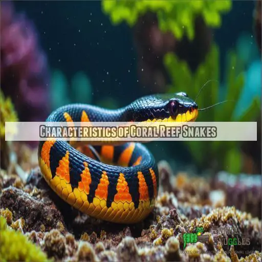 Characteristics of Coral Reef Snakes