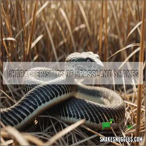 Characteristics of Grassland Snakes