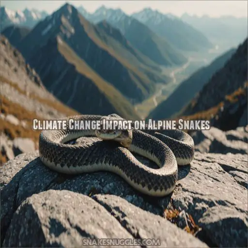 Climate Change Impact on Alpine Snakes