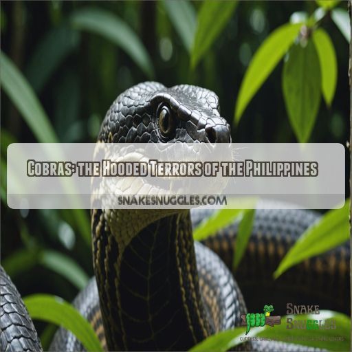 Cobras: the Hooded Terrors of the Philippines