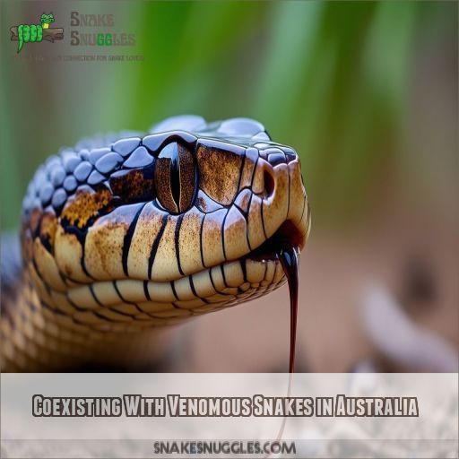 Coexisting With Venomous Snakes in Australia