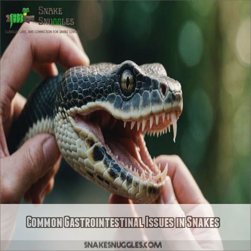 Common Gastrointestinal Issues in Snakes