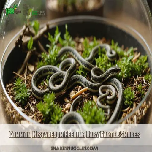 Common Mistakes in Feeding Baby Garter Snakes