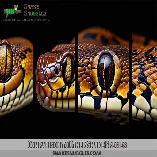 Comparison to Other Snake Species