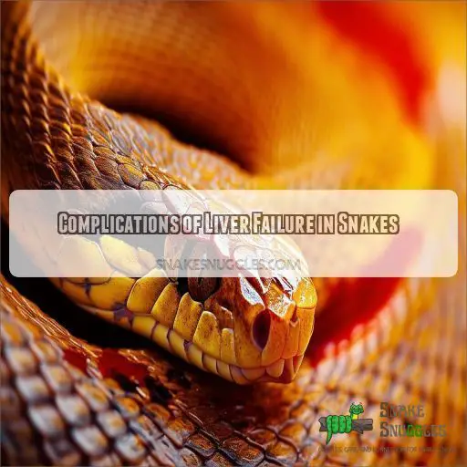 Complications of Liver Failure in Snakes