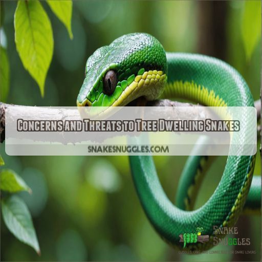 Concerns and Threats to Tree Dwelling Snakes