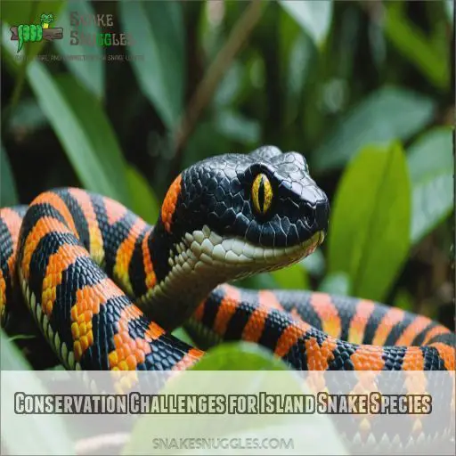 Conservation Challenges for Island Snake Species