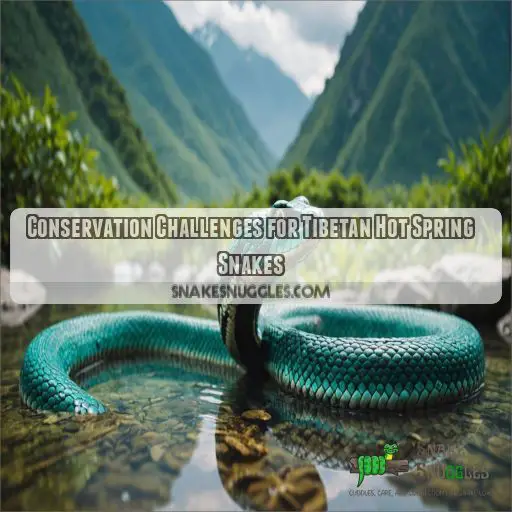 Conservation Challenges for Tibetan Hot Spring Snakes