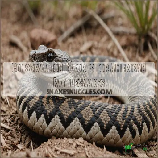 Conservation Efforts for American Rattlesnakes