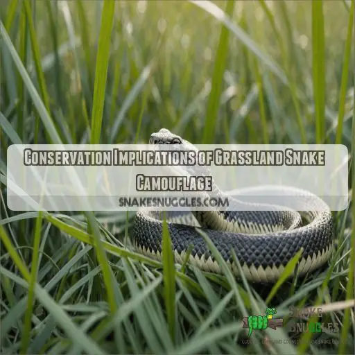 Conservation Implications of Grassland Snake Camouflage