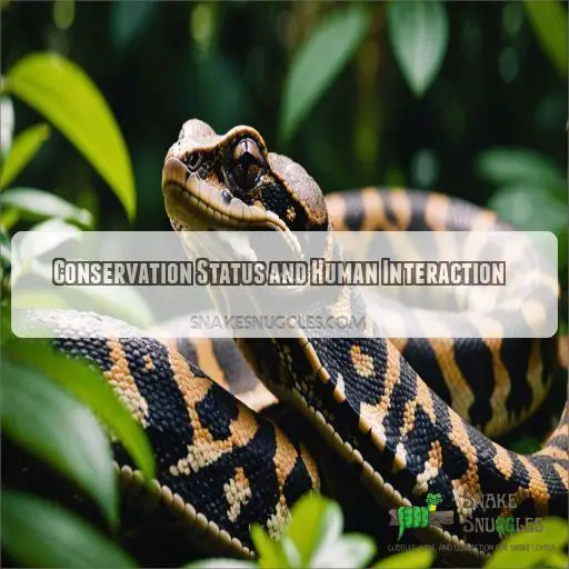 Conservation Status and Human Interaction