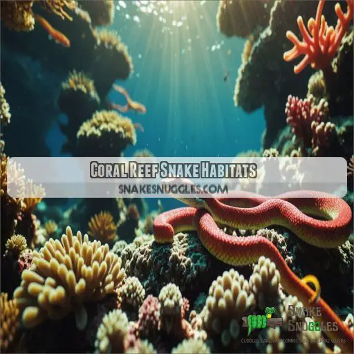 Coral Reef Snake Habitats