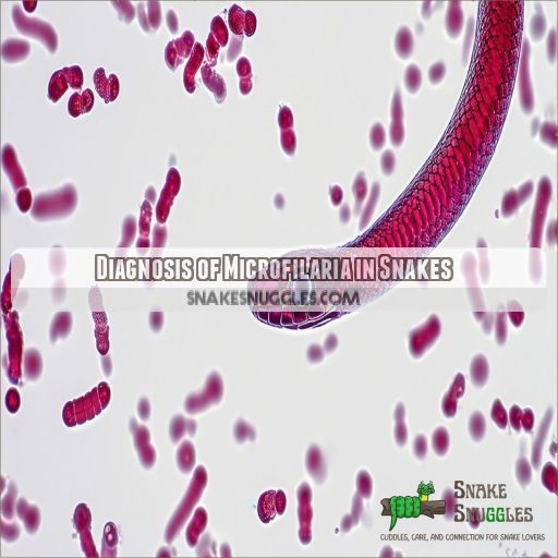 Diagnosis of Microfilaria in Snakes