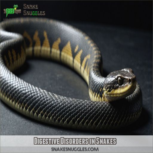 Digestive Disorders in Snakes