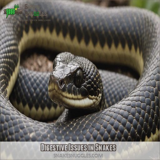 Digestive Issues in Snakes