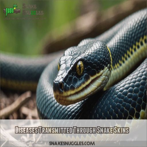 Diseases Transmitted Through Snake Skins