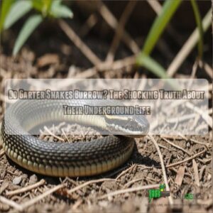 do garter snakes burrow