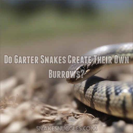 Do Garter Snakes Create Their Own Burrows